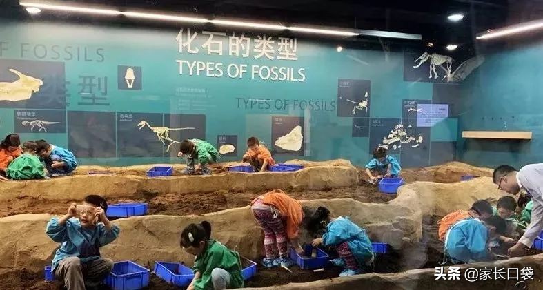 假期去哪里溜娃好玩,假期去哪玩便宜又好玩儿