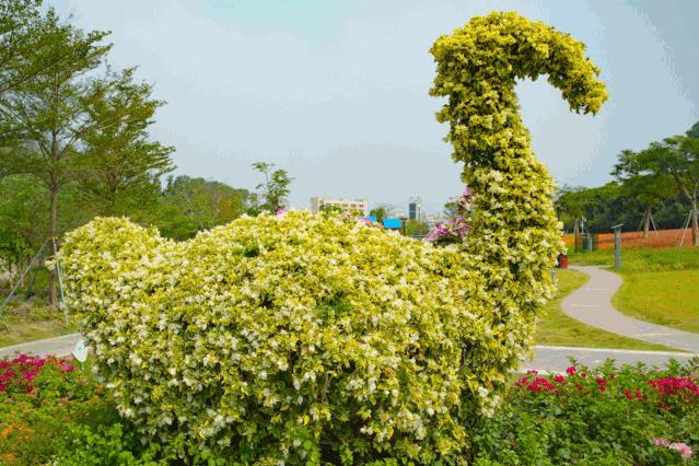 人少还免门票！深圳这片5000000㎡新公园美翻了，“神仙花谷”