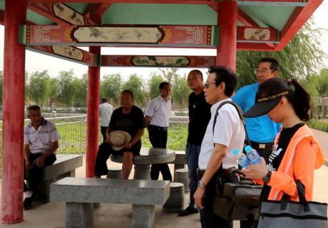 大树下面长草吗,大树底下长草