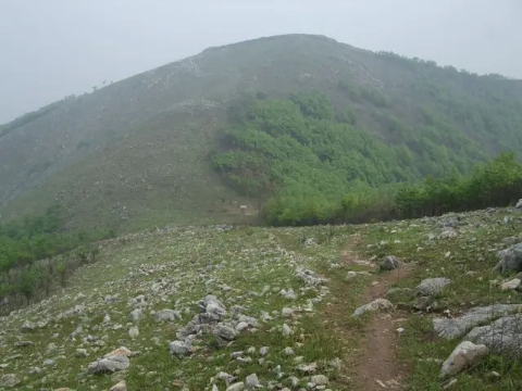 南阳深山藏古寺,南阳市千年古刹