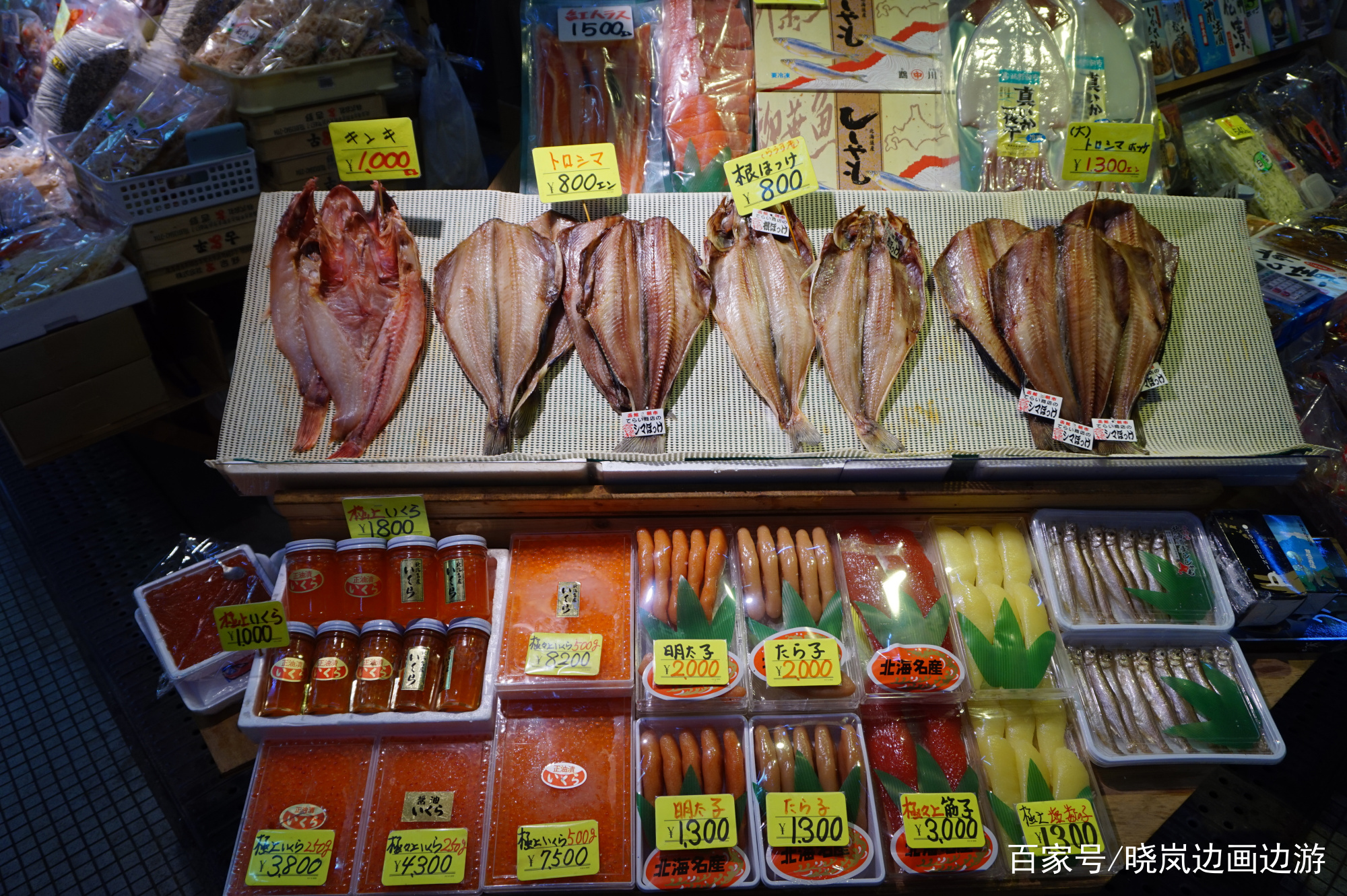 北海道函馆游玩攻略,日本旅行vlog北海道小樽札幌函馆