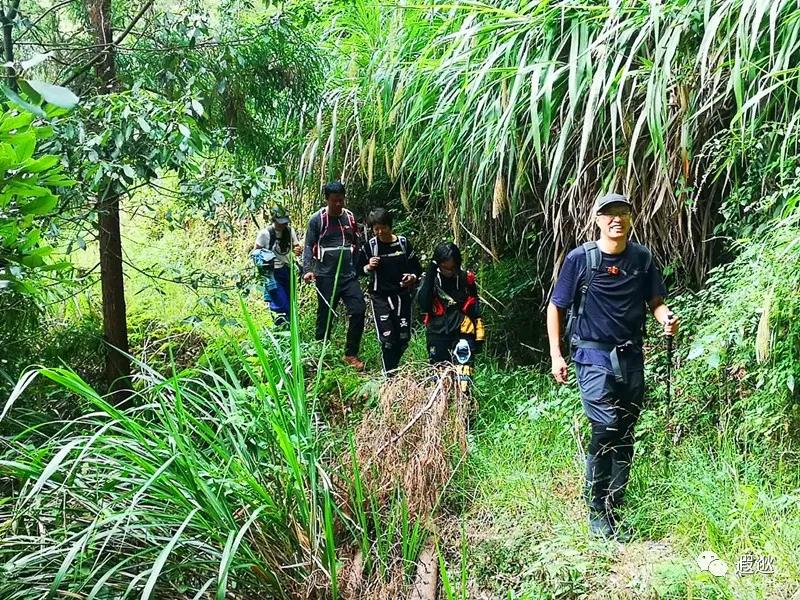 乐清仙溪有哪里好玩的 (乐清仙溪镇景点)