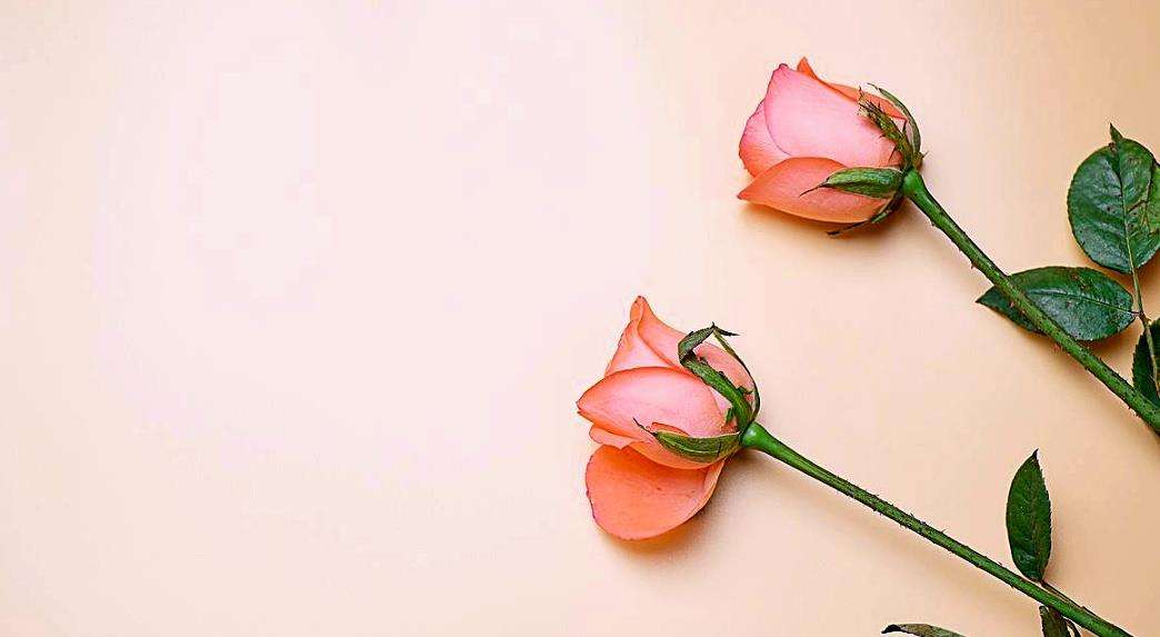 如果你曾经被伤害过,曾经伤害过的人还要继续和你相处