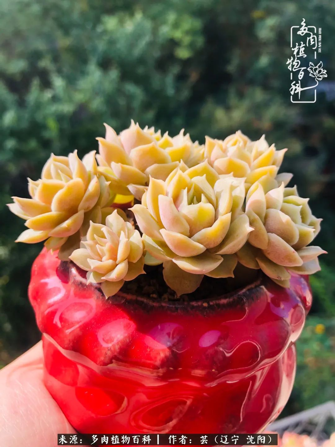 万物皆有灵性有因必有果,万物皆有灵性与生命