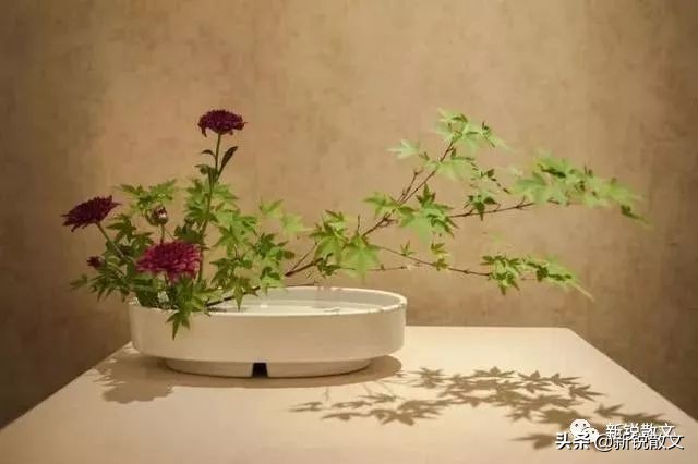 雅文学与俗文学的关系,雅俗文学的嬗变