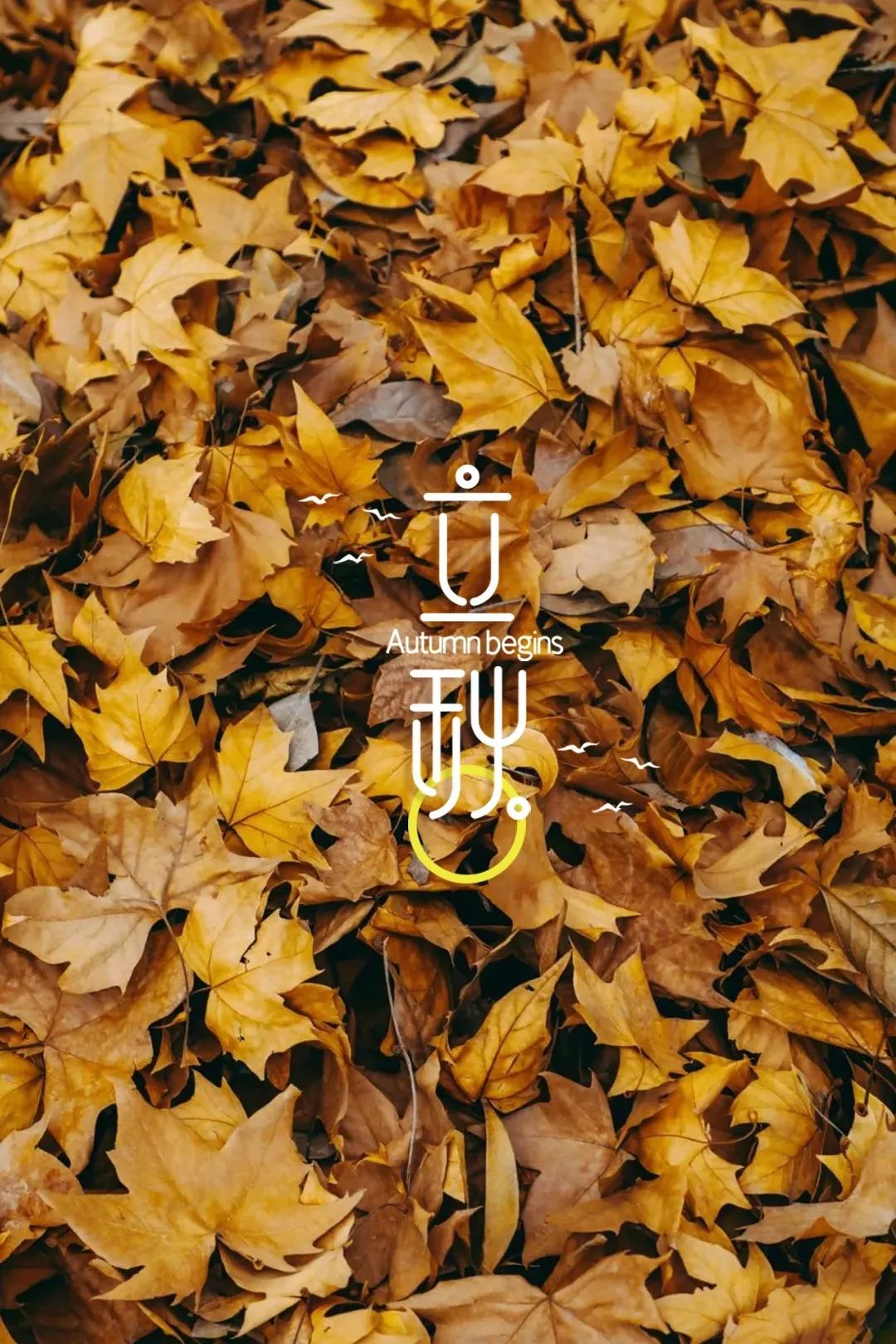 立秋，立秋！这43件事，上海人必须要去做