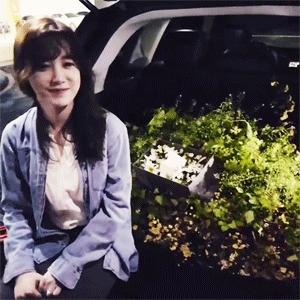 具惠善安宰贤甜蜜照片,具惠善安宰贤离婚诉讼首次调解