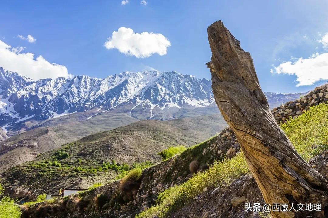 8次深入喜马拉雅，著名藏学家朱塞佩·杜齐的阿里探险之旅