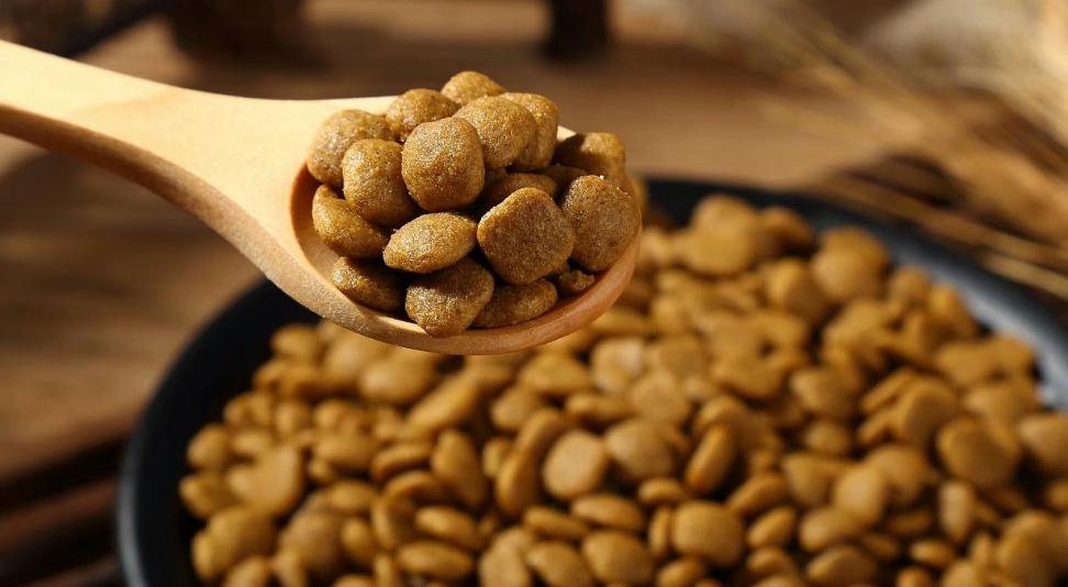 如何挑选一款好的狗粮,如何选择一款优质的狗粮