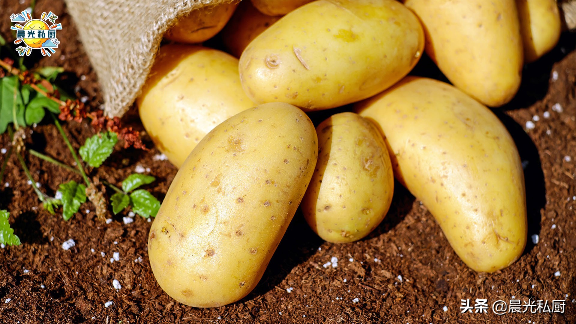 做马蹄糕可以用木薯粉代替马蹄粉,马蹄糕的马蹄粉可用木薯粉代替吗