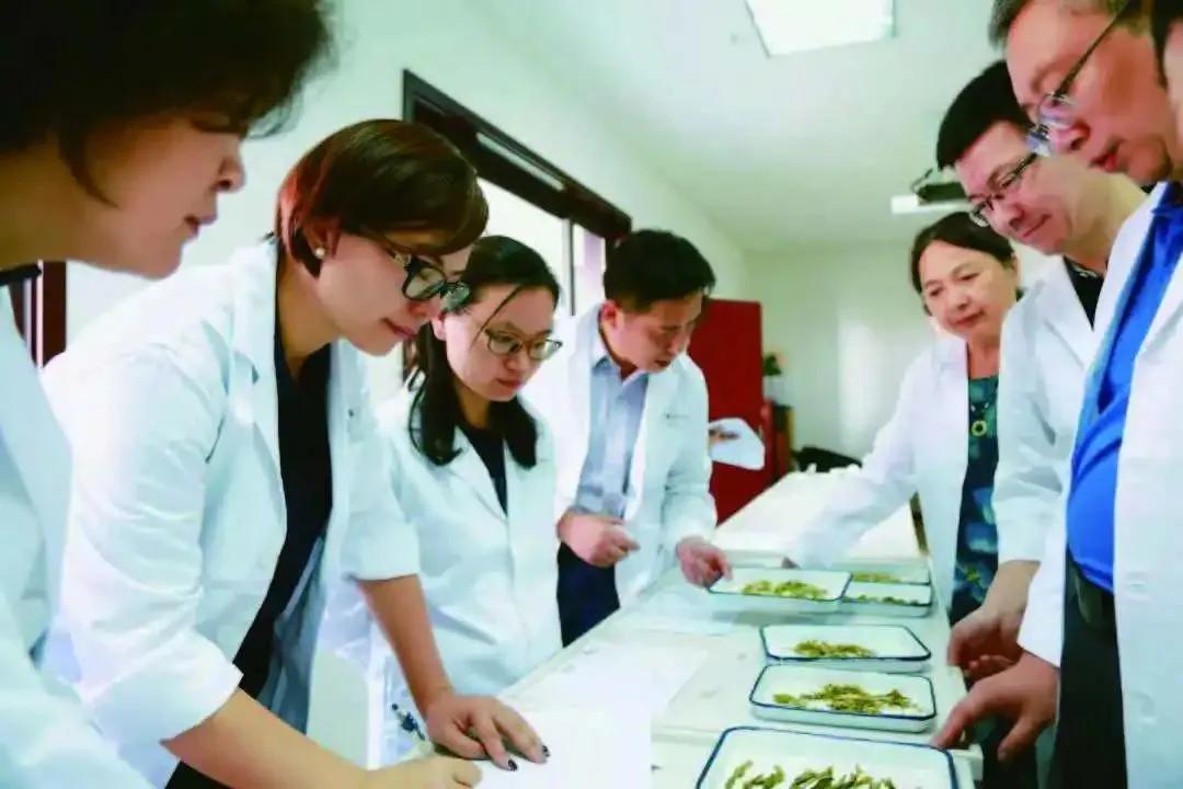 中国茶叶博物馆要预约吗,中国茶叶博物馆茶友会