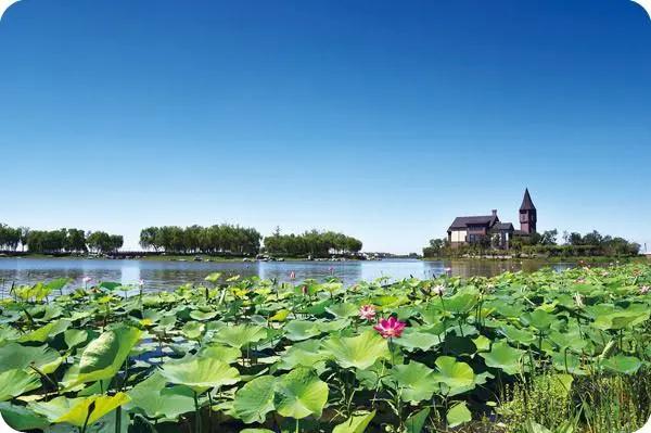 天津被低估的一线国际化大城市,天津各个城市的gdp