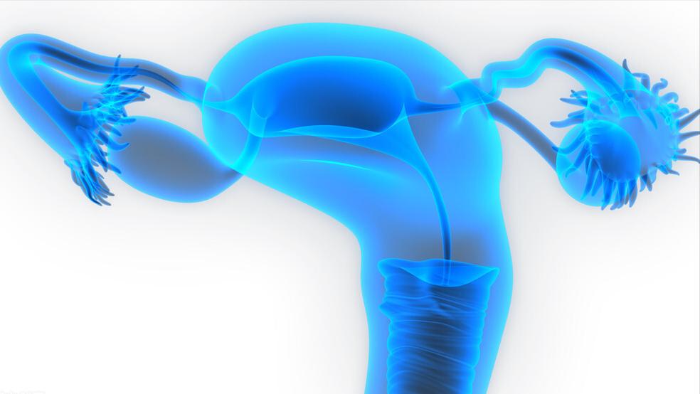 输卵管伞部粘连的最佳解决方法,输卵管伞端粘连该怎么治疗