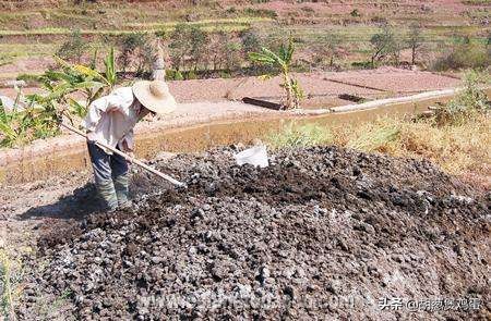 稻虾田肥水用什么肥料,虾田肥水最简单方法