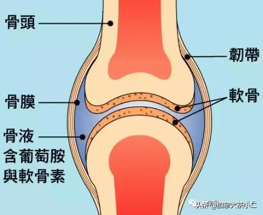 costco必买保健品价格分别是多少,不吹不黑分享真实感受