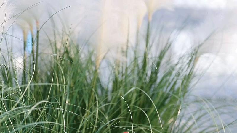 水果怼怼怼怼怼到爆汁，这家“超给力”的水果茶，6.3元限时喝