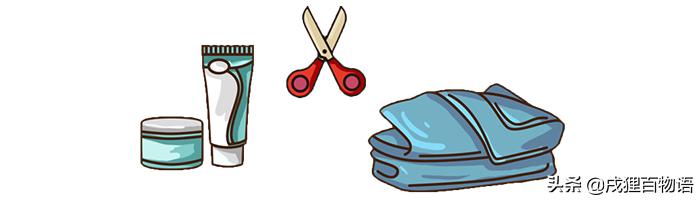 狗狗要生了主人该怎么做,狗狗要生小狗了有什么症状