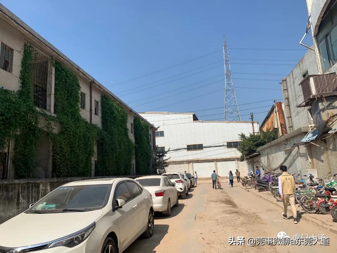 东莞福地旧改,东莞运河城旧改