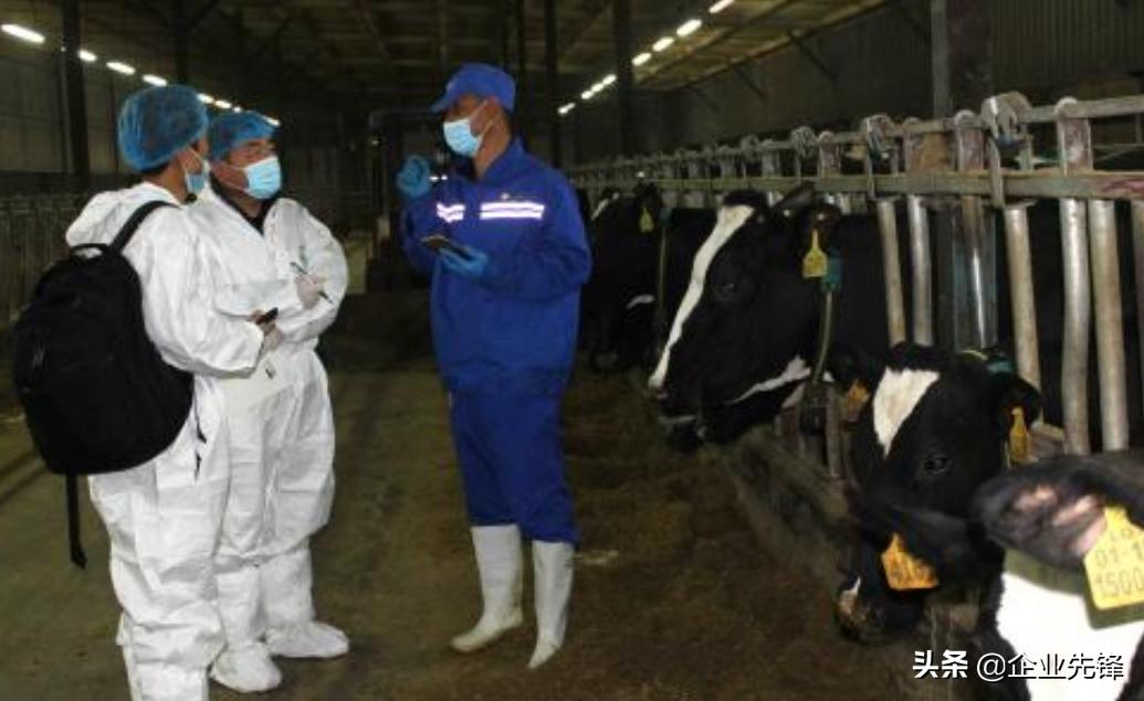 他辞职创业小说,他辞掉铁饭碗创业