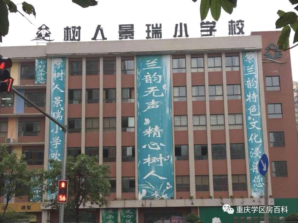 重庆树人小学分校有哪些,树人小学分校怎么样