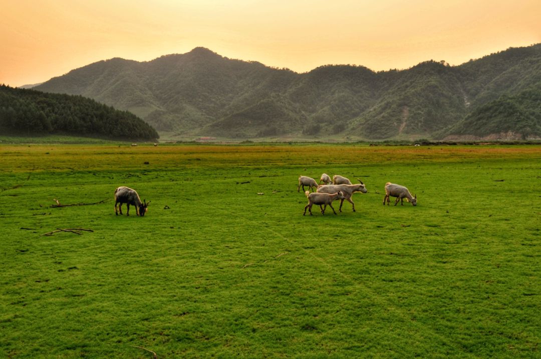谁是东北第一城,谁才是东北第一城市