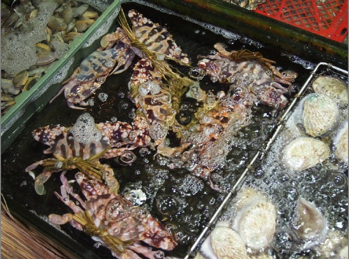 香港人气爆满的30年地道美食,盘点我吃过的海鲜美食