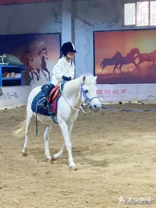 深圳海边骑马地点推荐,深圳骑马最佳地点