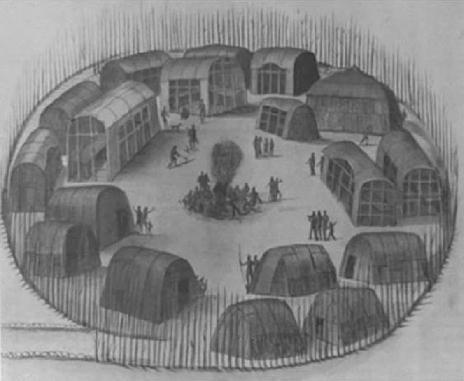 河狸皮毛的优点,河狸皮毛十分名贵