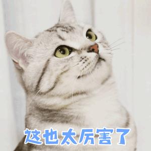 宁夏最穷人口最少的市,宁夏最富的县vs宁夏最穷的县