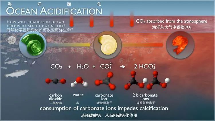 新能源给人类带来的优点,中国发现新能源可以用多少年