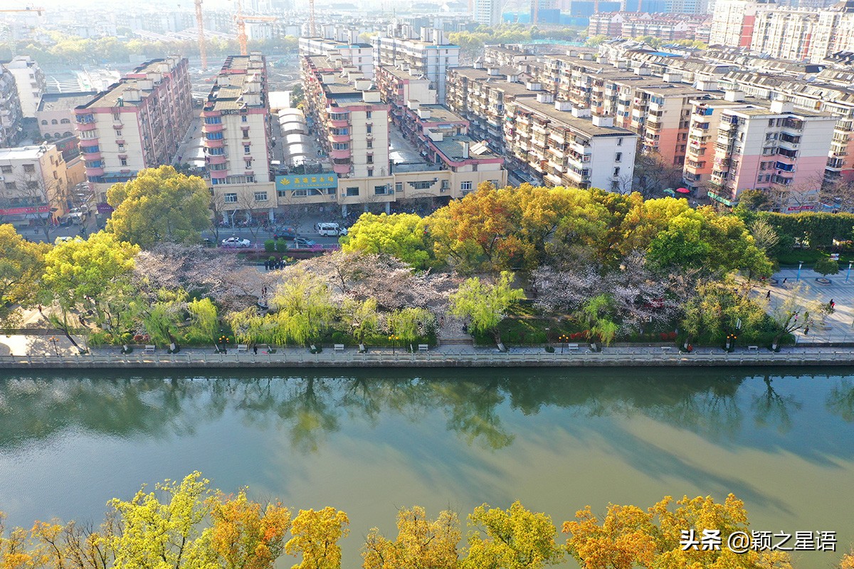 早樱烂漫,看樱花的地方樱花谷