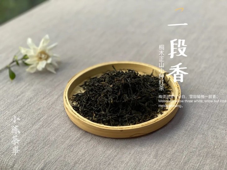 金骏眉正山小种铁观音茉莉花茶,红茶金骏眉正山小种四大名茶组合