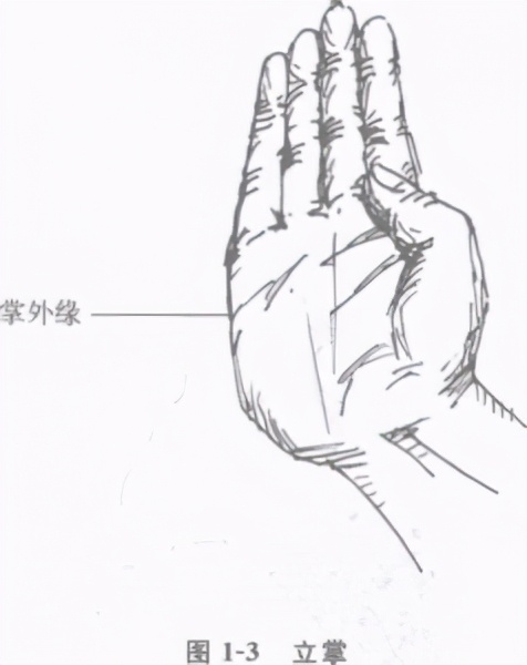 中国擒拿术擒拿十八法全教程,擒拿术基本功训练