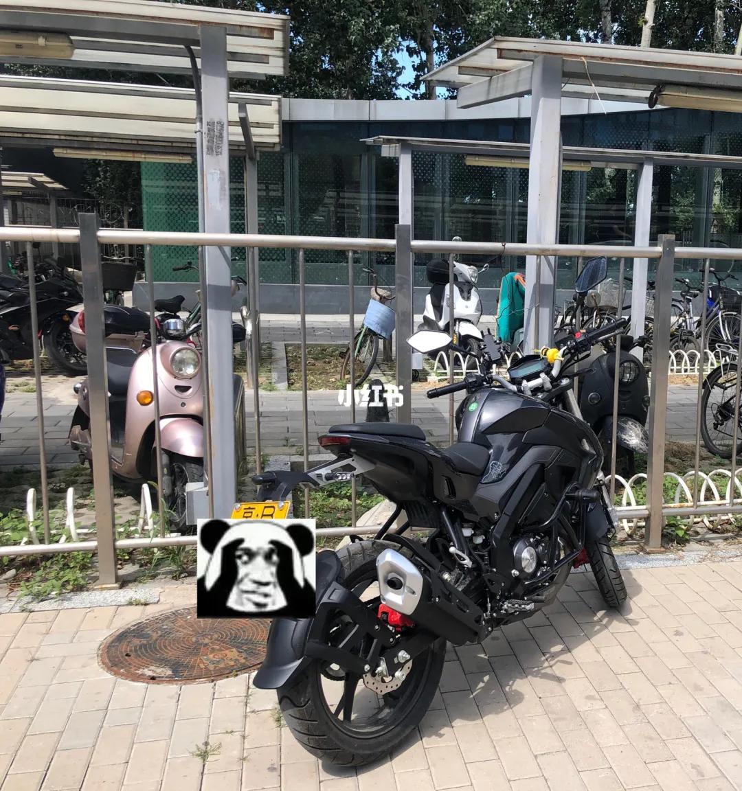 贝纳利小迅龙摩托车,贝纳利小迅龙150值不值得入手