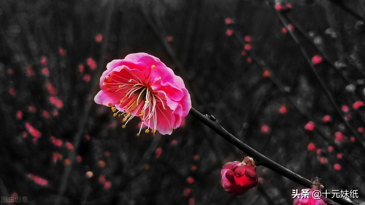 有对象了但又遇到心动的人怎么办,有对象了但是有人喜欢我怎么办