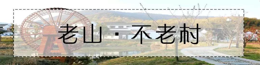 新区附近的旅游景点推荐,新区旅游攻略必去十大景点