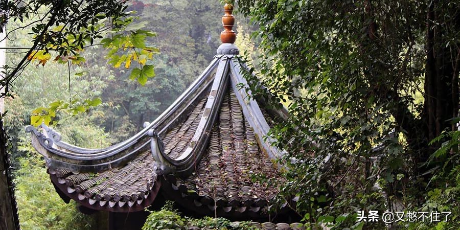 别再花冤枉钱赚钱不容易,旅游中的这些坑您得擦亮眼睛