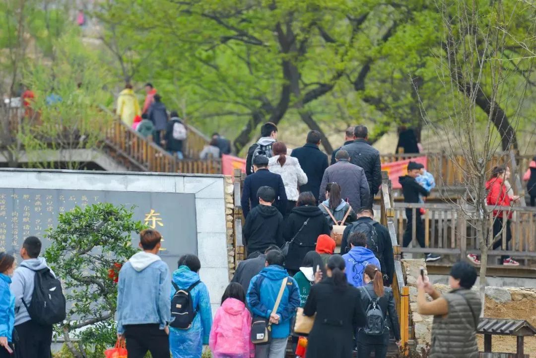 天蒙山踏青赏花,蒙山景区赏花