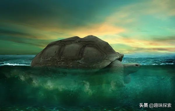 尼斯湖水怪和水猴子真的存在吗 (尼斯湖水怪真的存在我们地球吗)