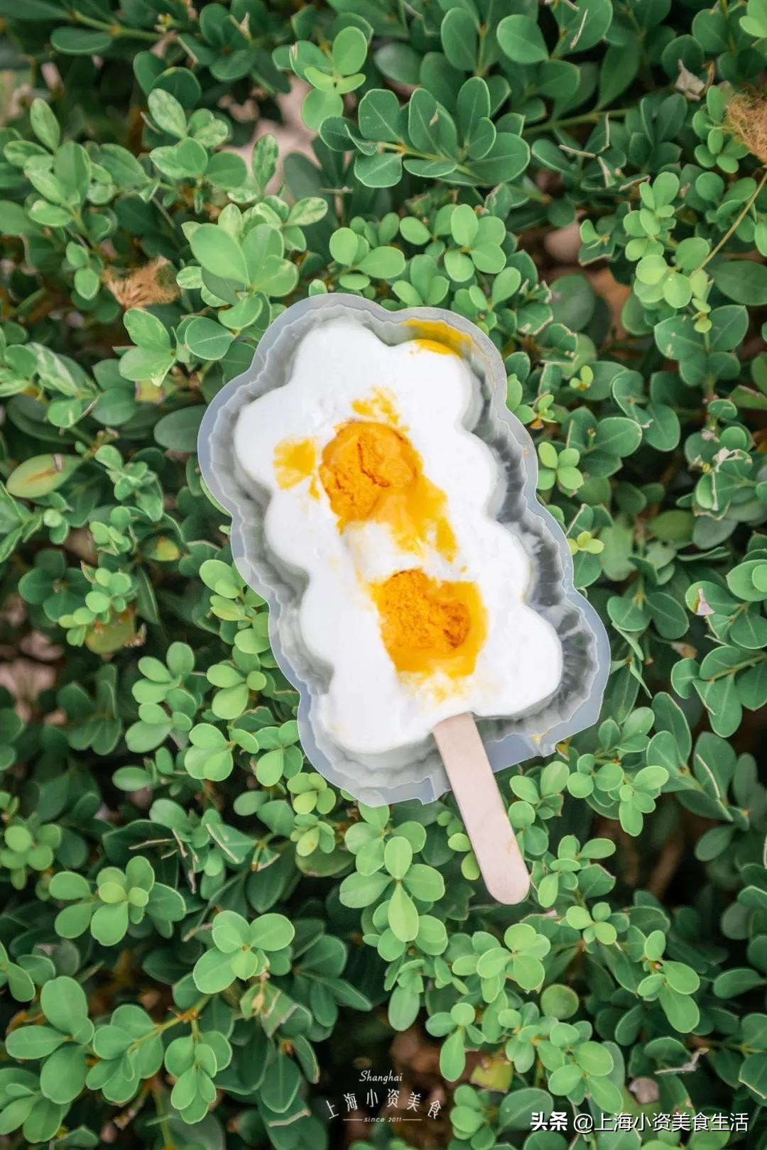 国内崛起的雪糕,中国风网红雪糕