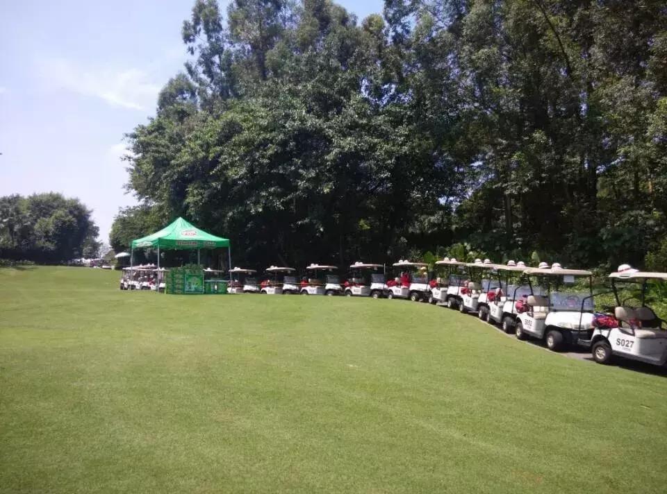 阳基御龙山复式房,深圳观澜御龙山房价