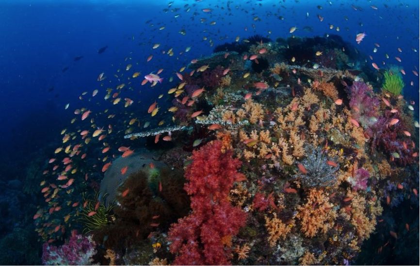 东南亚工作签证办理流程,东南亚十国签证办理流程