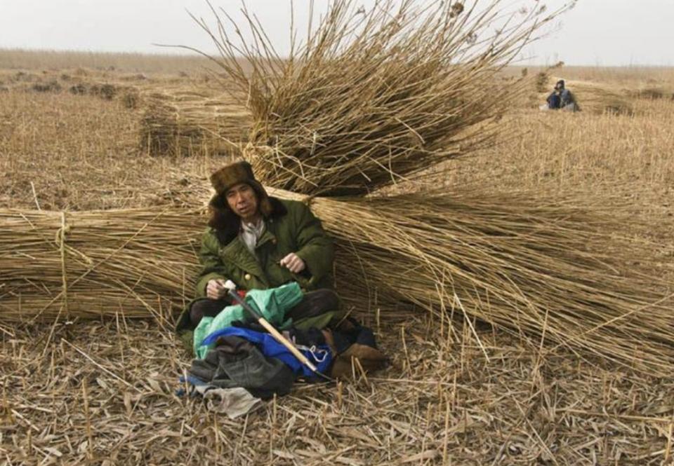 民国刀客们到盘锦割苇子，如果没有备齐“三件套”，基本没法干活