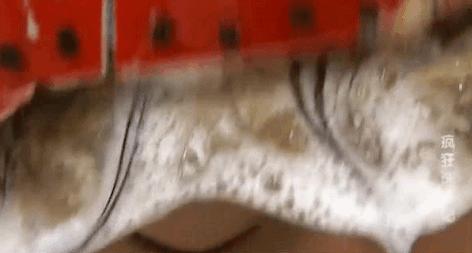 手搓长续航潜水艇,手搓潜水艇