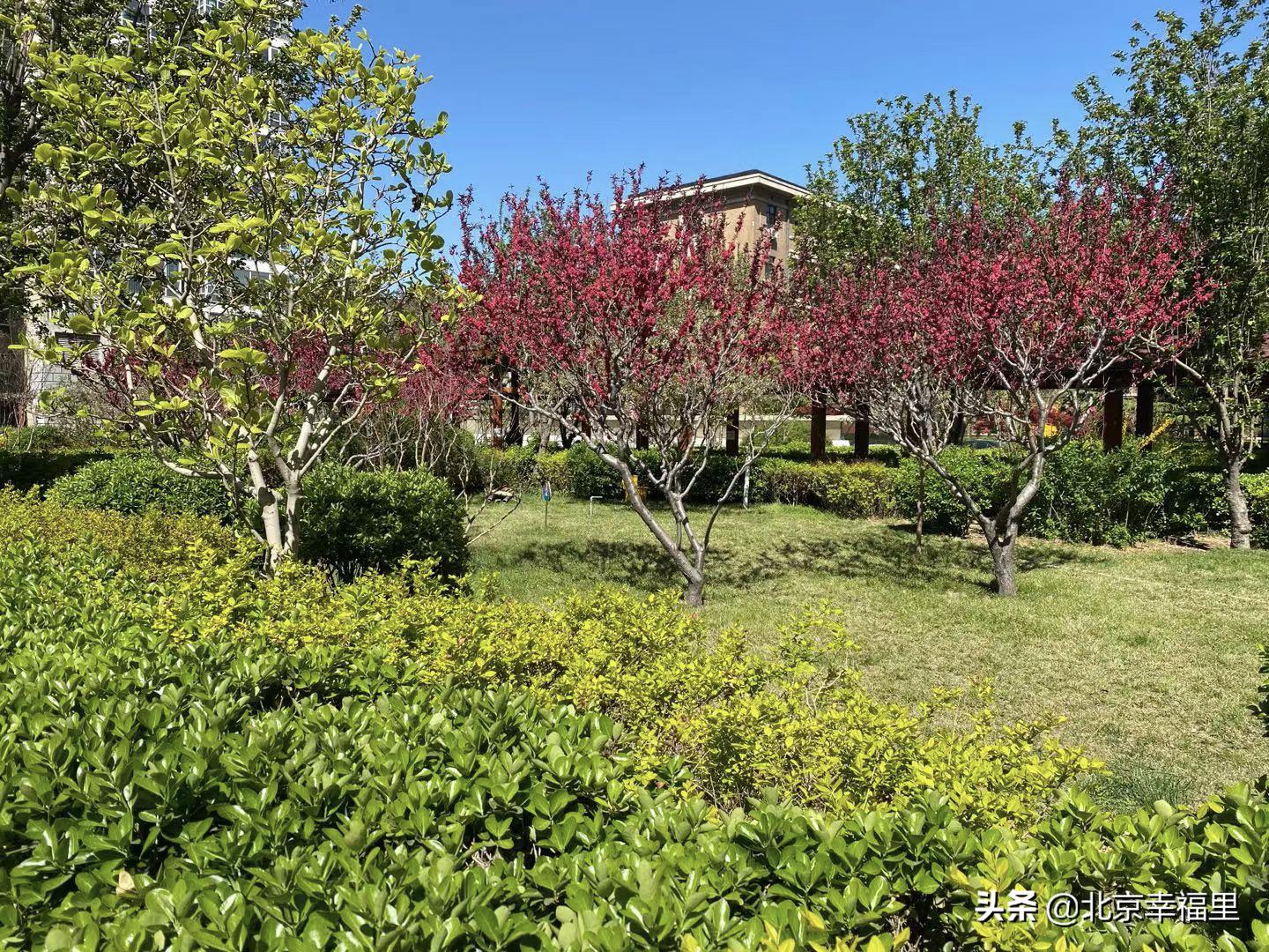 魏公村地铁站南次新楼盘 (魏公村北区房子值得买吗)