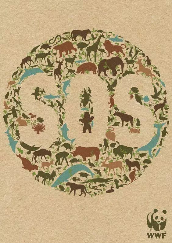 关于环保主题的题目英语,流水的英语怎么说