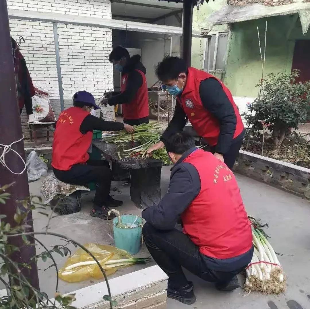 河南疫情防控应急志愿服务工作纪实致敬青春力量