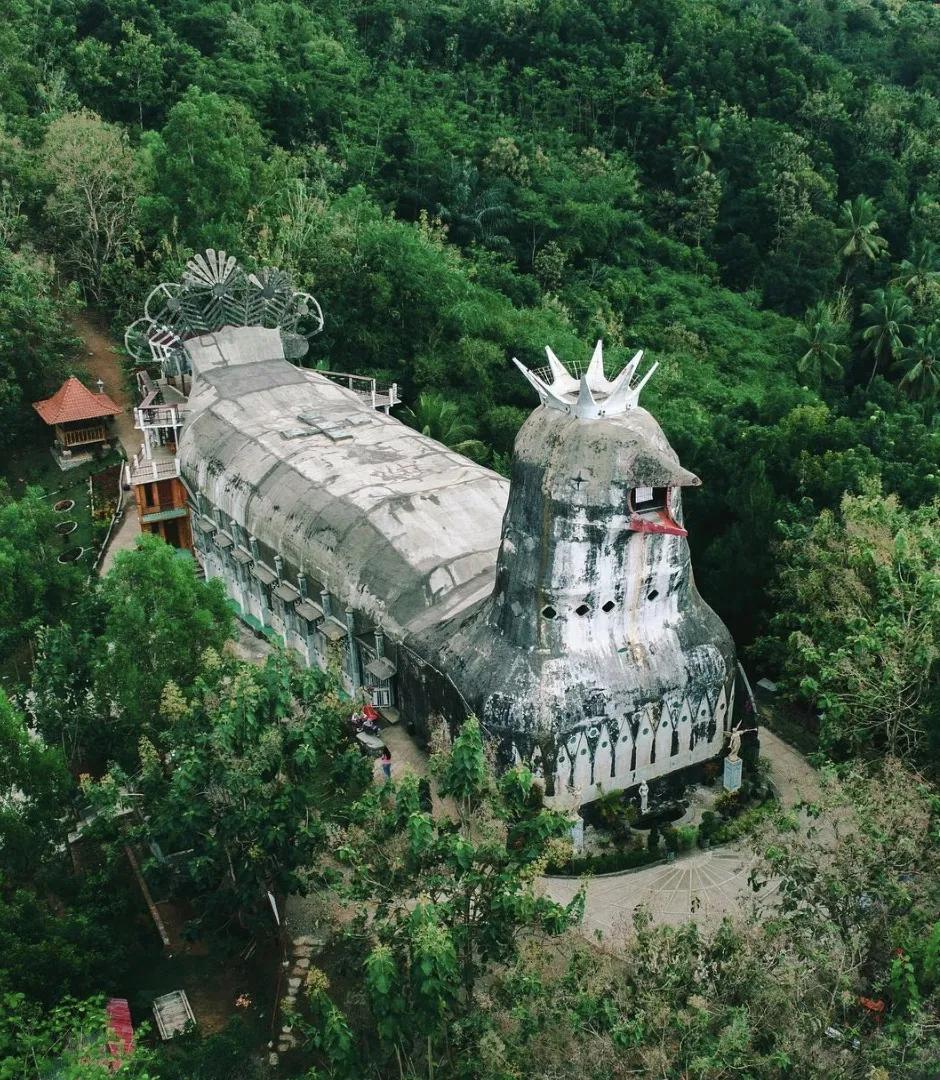 看了就想养的宠物,看了就想养宠物的视频