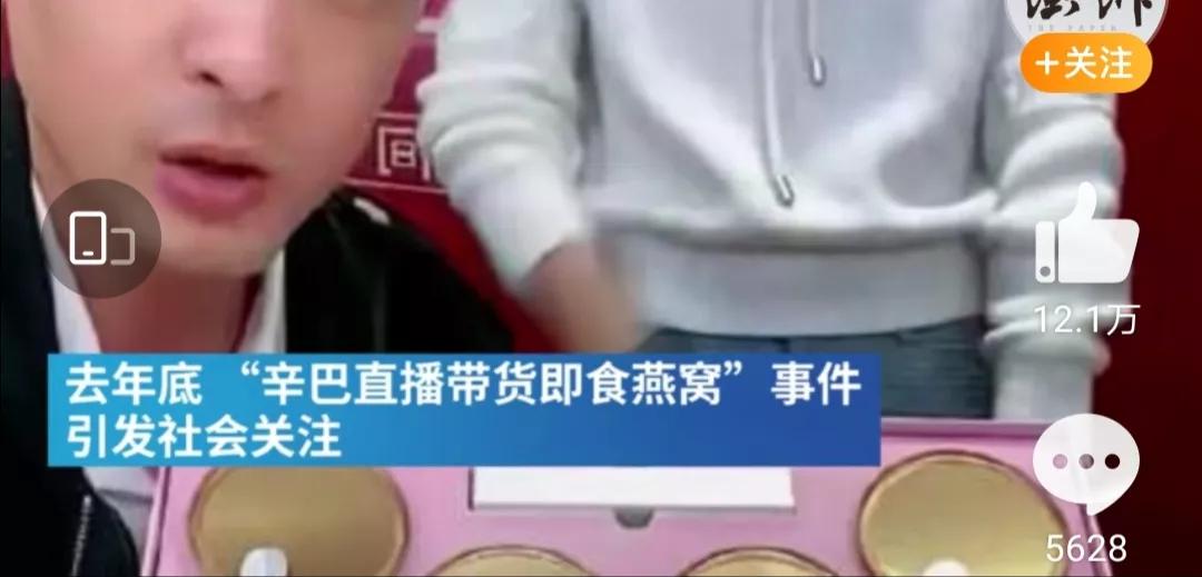 知名网红辛巴下跪高调复出 (辛巴复出单膝下跪视频)