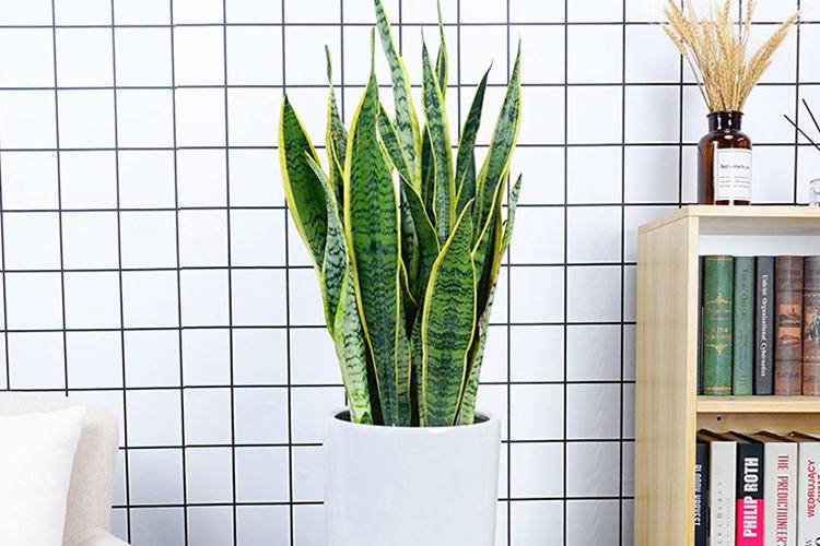 空调房“补水”计划，既要温度又要湿度，做好3点保湿效果杠杠的